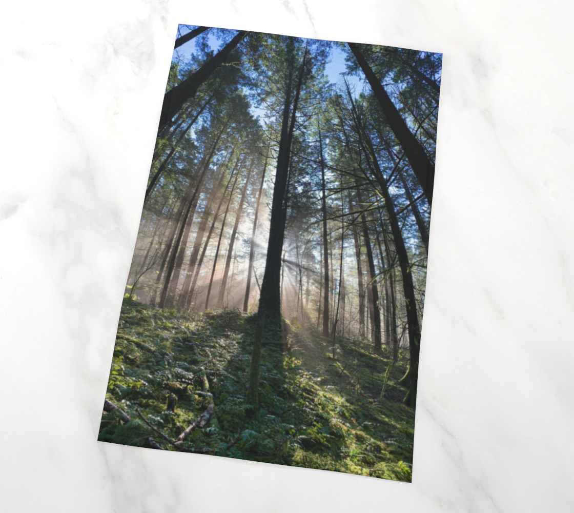 Tea Towel - Rays of Light