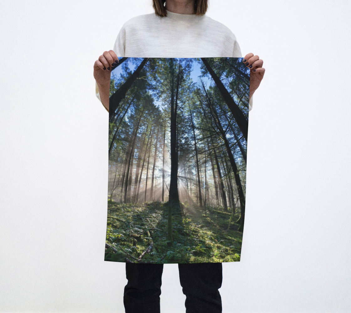 Tea Towel - Rays of Light